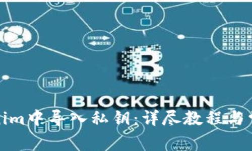 如何在Tokenim中导入私钥：详尽教程与常见问题解答