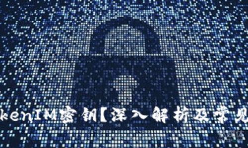 什么是TokenIM密钥？深入解析及常见问题解答
