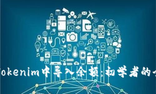 如何在Tokenim中导入余额：初学者的全面指南